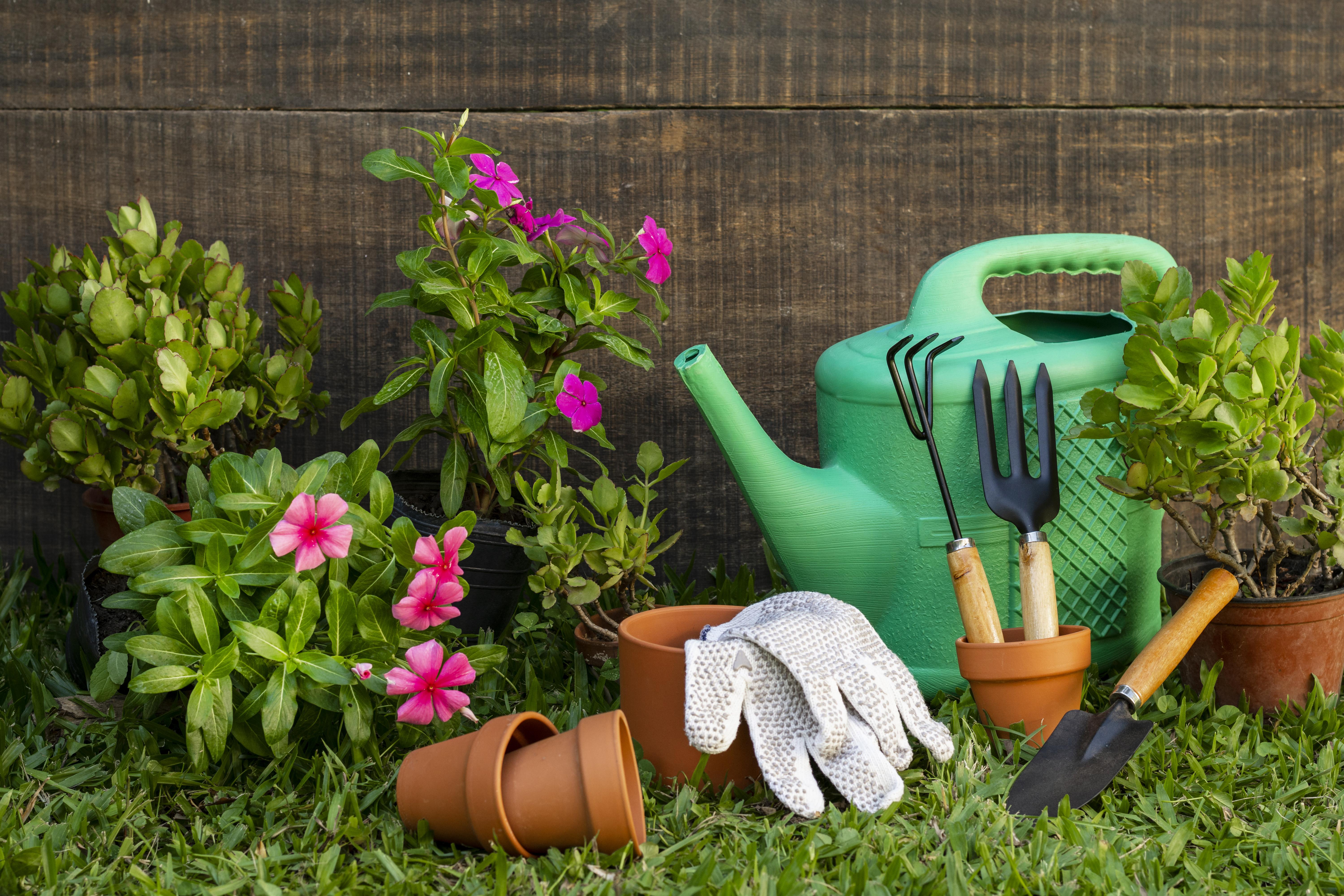Afbeelding gieter in tuin