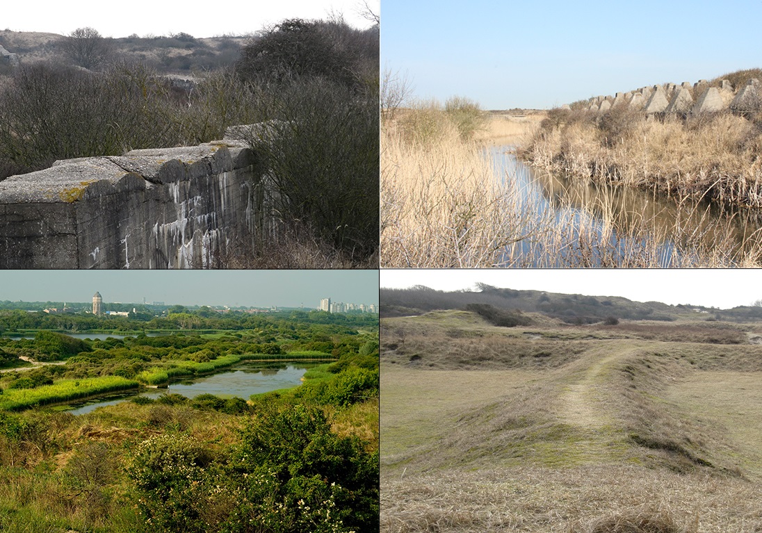 Collage duinen