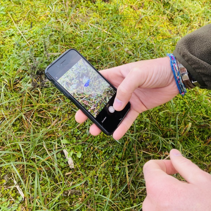 Foto maken in de duinen