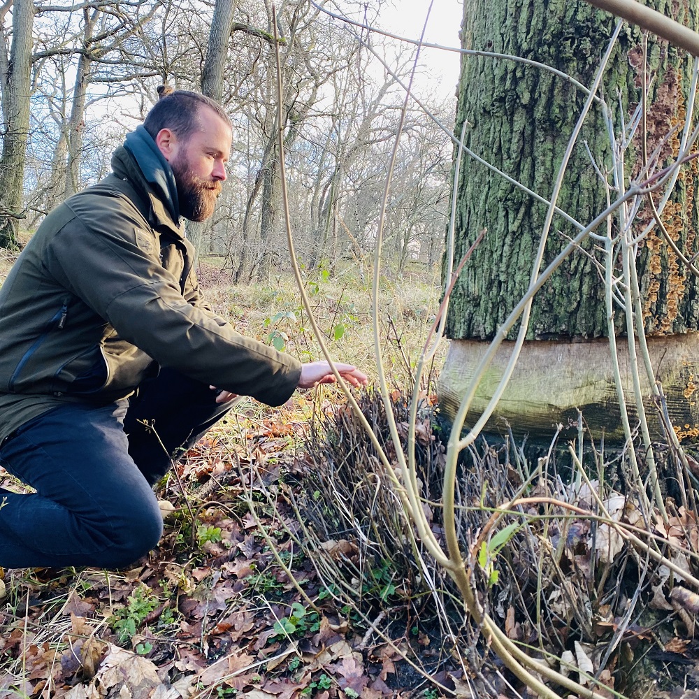 Bomen ringen met Casper