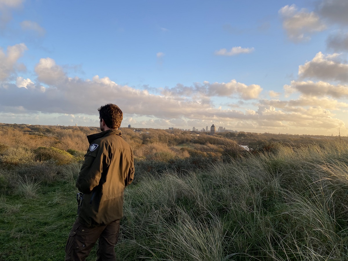 Jasper in de duinen