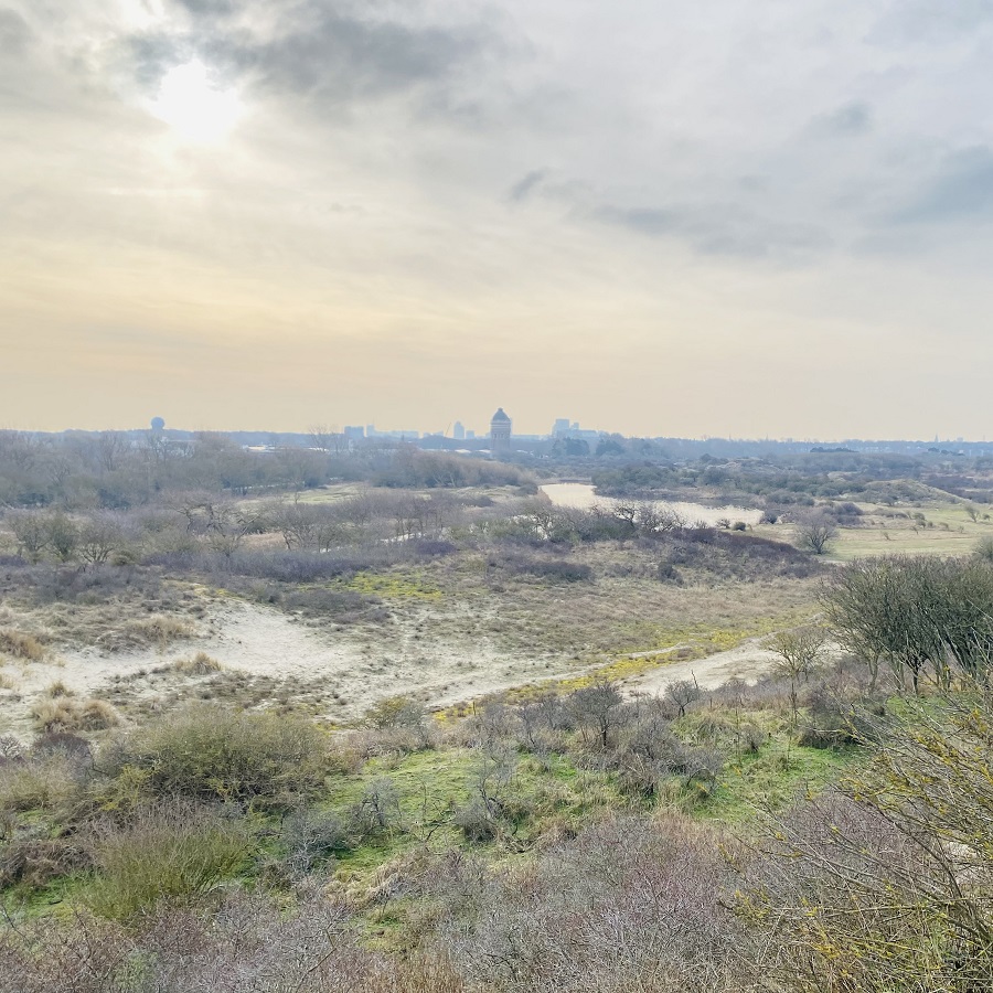 Mooi uitzicht over de duinen