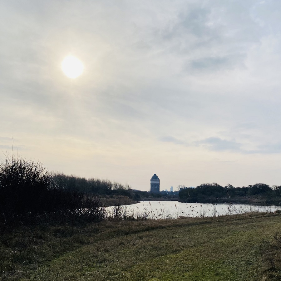 Uitzicht met watertoren