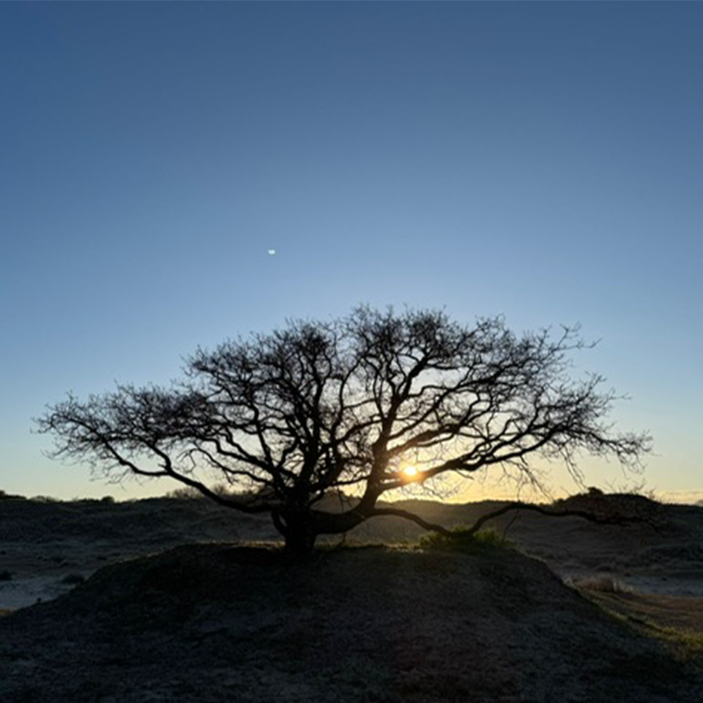 Image row 1 - zonsopgang