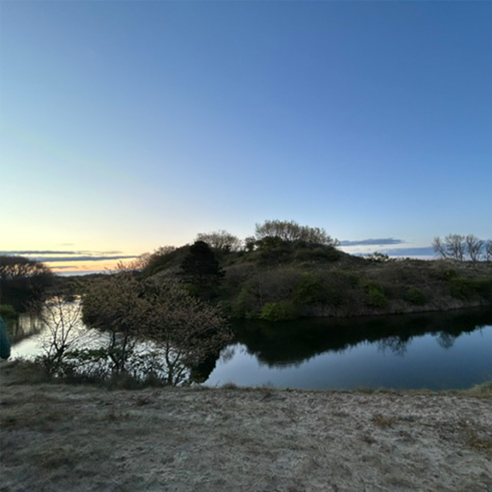 Zonsopkomst in de duinen