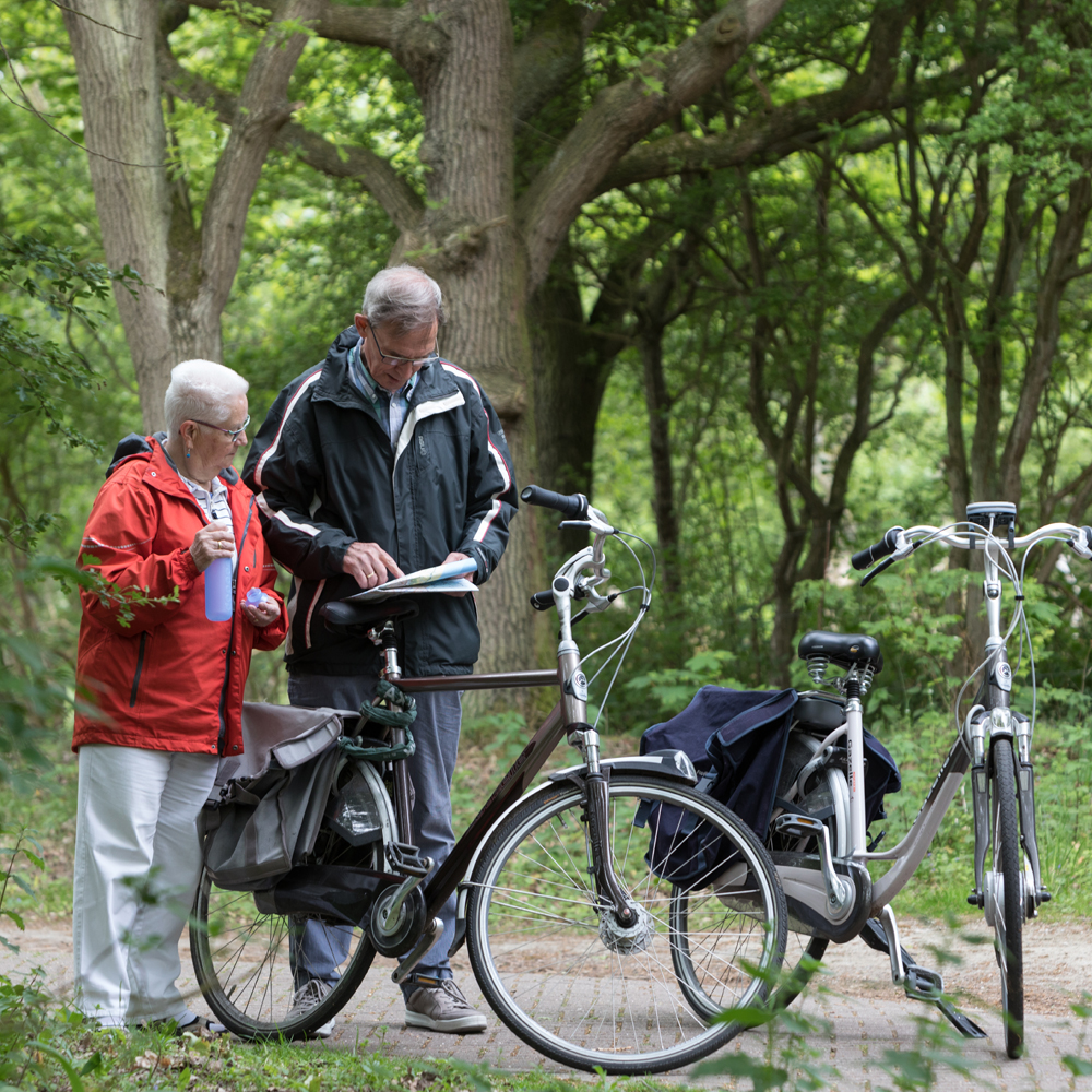 Fietsers in de duinen