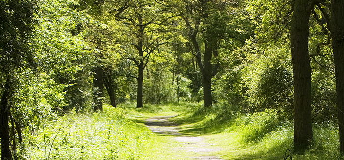 /-/media/images/duinen/mobile-mededelingen-pers-wijzigingen.jpg