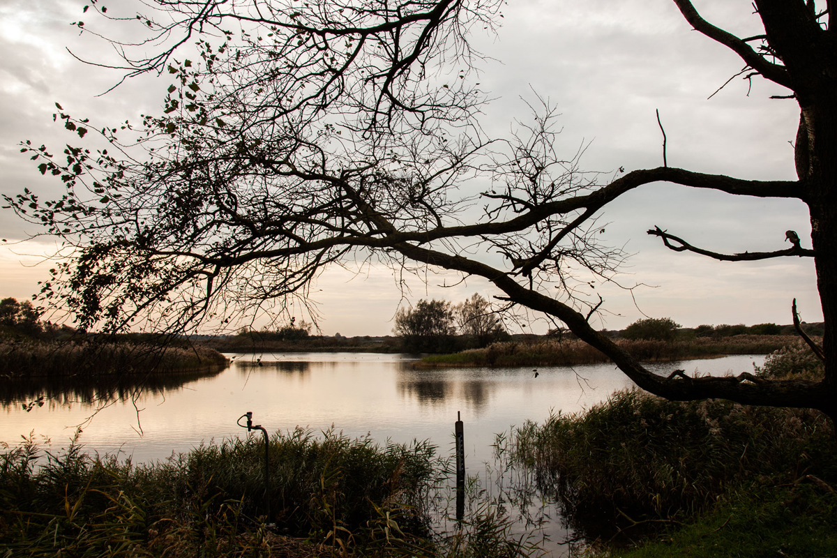 /-/media/images/duinen/onze-duingebieden-ticketbox/berkheide.ashx