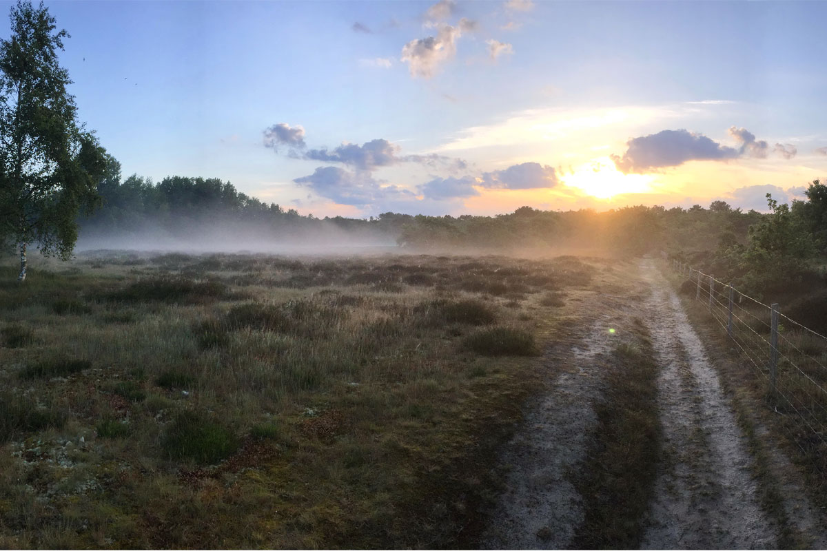 /-/media/images/duinen/solleveld-homepage.ashx