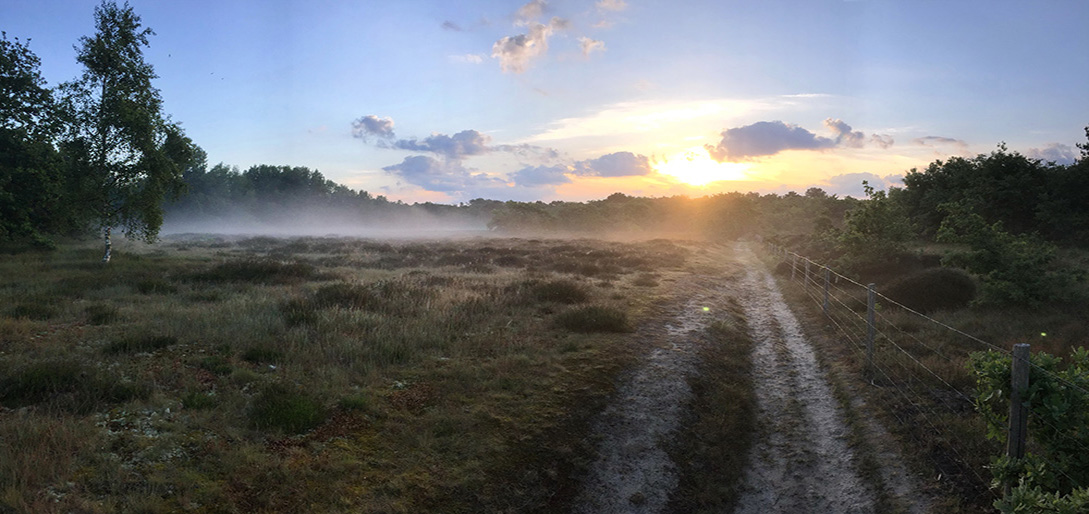 /-/media/images/duinen/zhl-solleveld.ashx