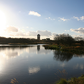 Solleveld