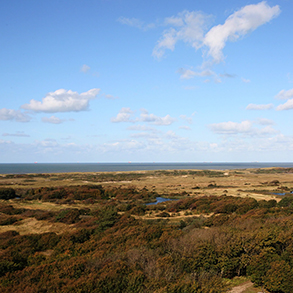 Duinen Dunea