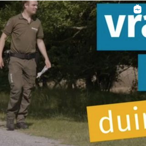 Vraag het de duinwachter | Eikenprocessierups