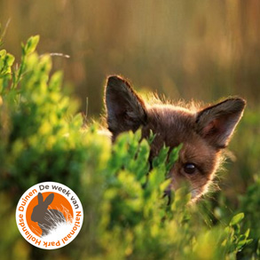 De week van Nationaal Park Hollandse Duinen