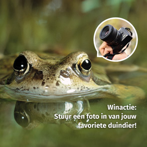 Winactie duindieren top 10