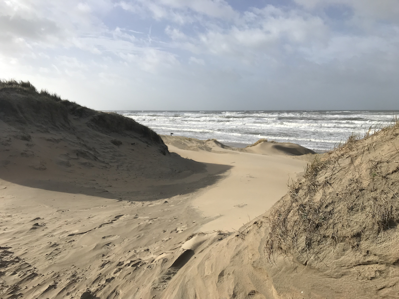 Afbeelding stuifgat  in meijendel 2