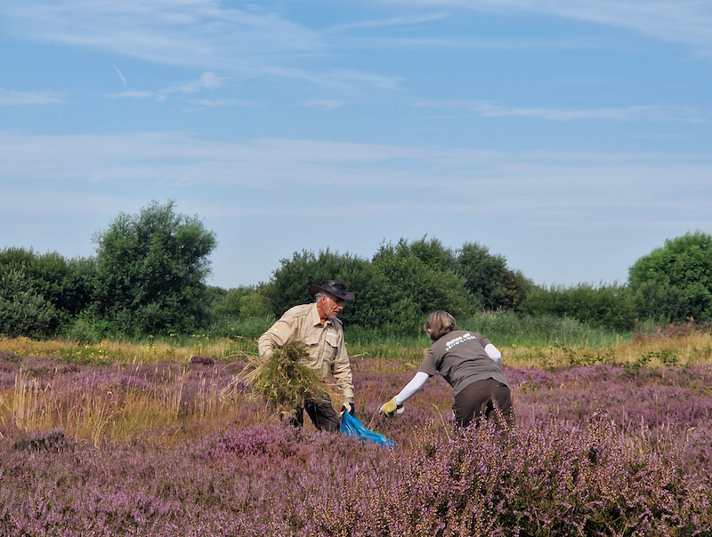 Afbeelding vrijwilligers in Solleveld