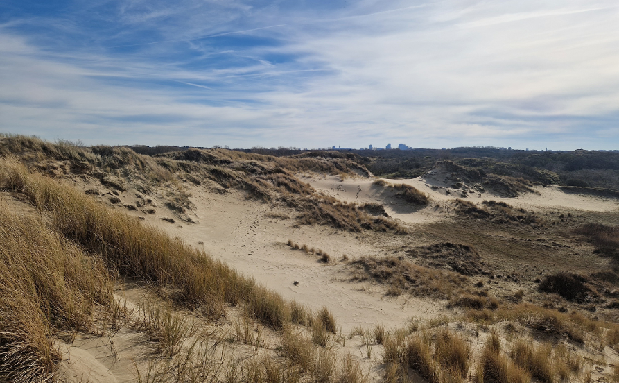 Afbeelding stuivende duinen
