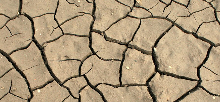 /-/media/images/nieuws/droge-grond_header-mobile.jpg