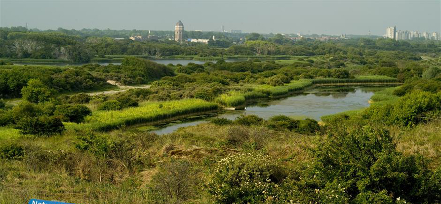 /-/media/images/nieuws/duinfoto-met-watertoren-op-de-achtergrond-mobile.ashx