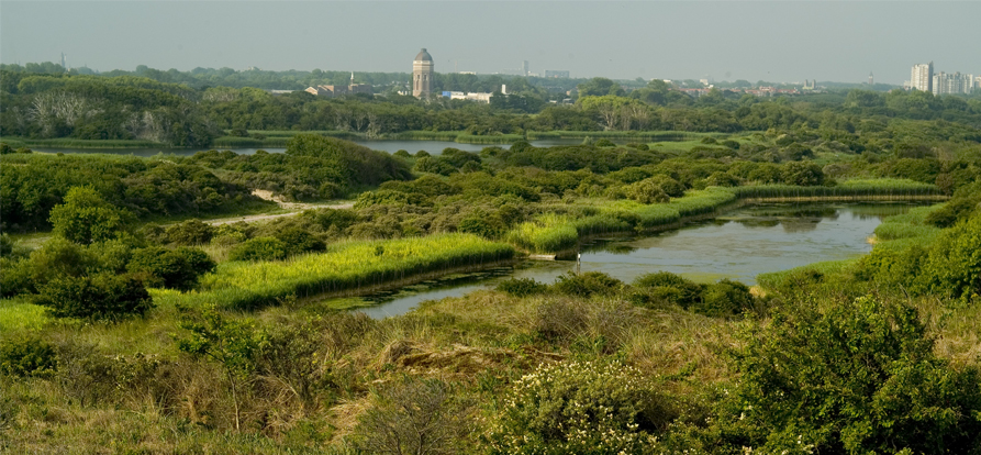 /-/media/images/nieuwsbrieven/januari-2022/watertoren-in-het-duin-mobiel.ashx