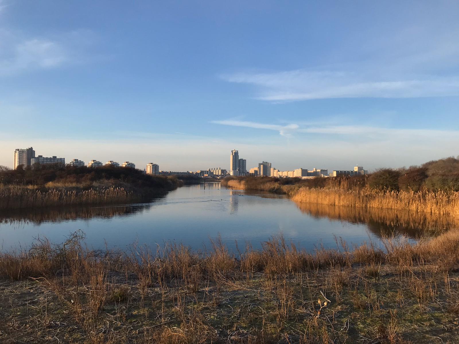 Uitzicht op Scheveningen