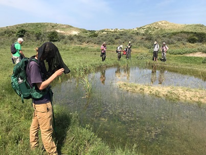 Mensen die tellen aan een plas