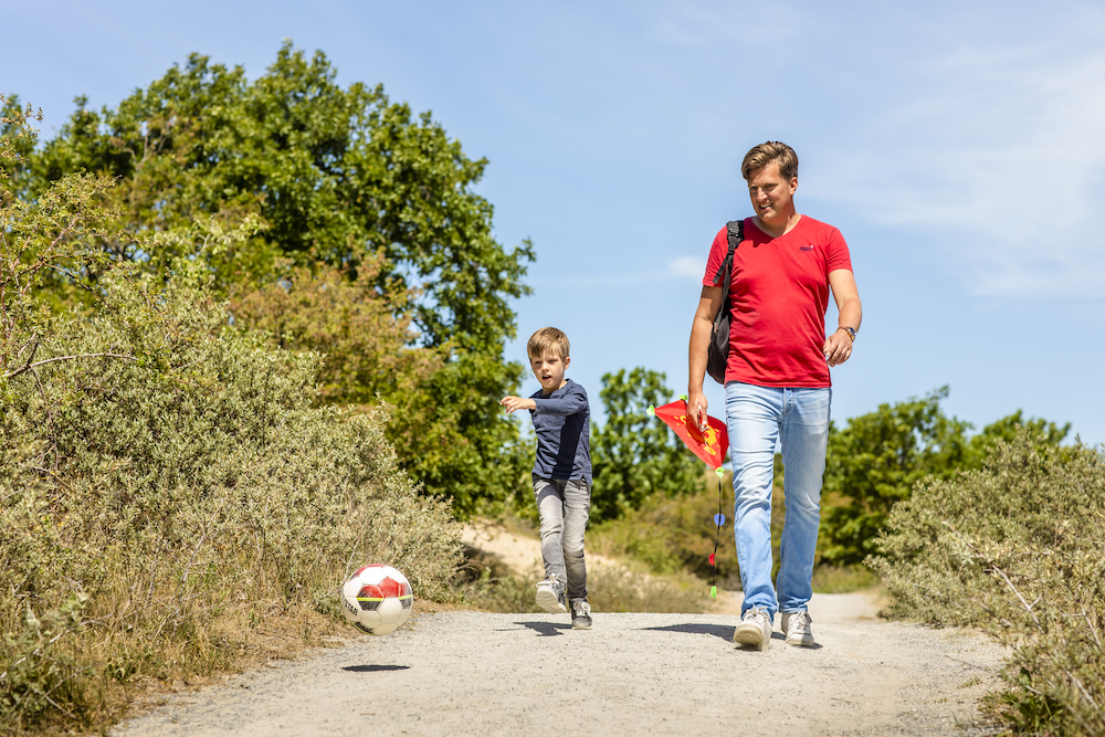 Afbeelding wandelen in Meijendel