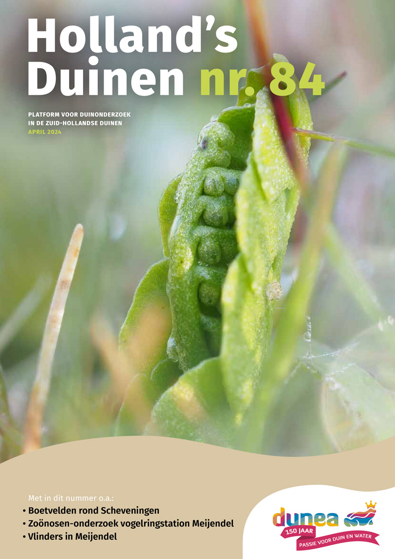 Cover Hollands Duinen 84