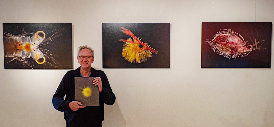 Expositie Planktonium in De Tapuit