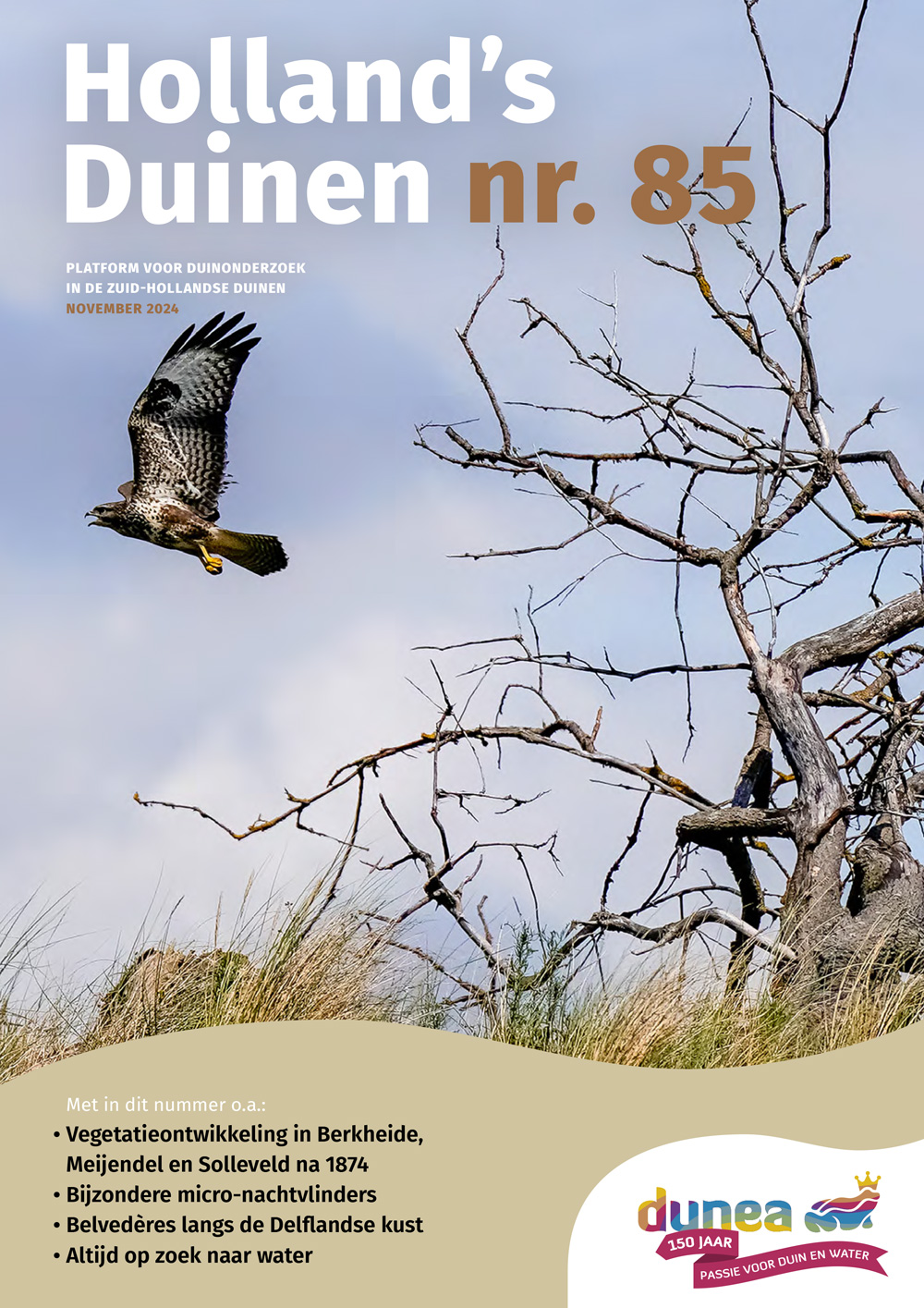 Hollands Duinen 85