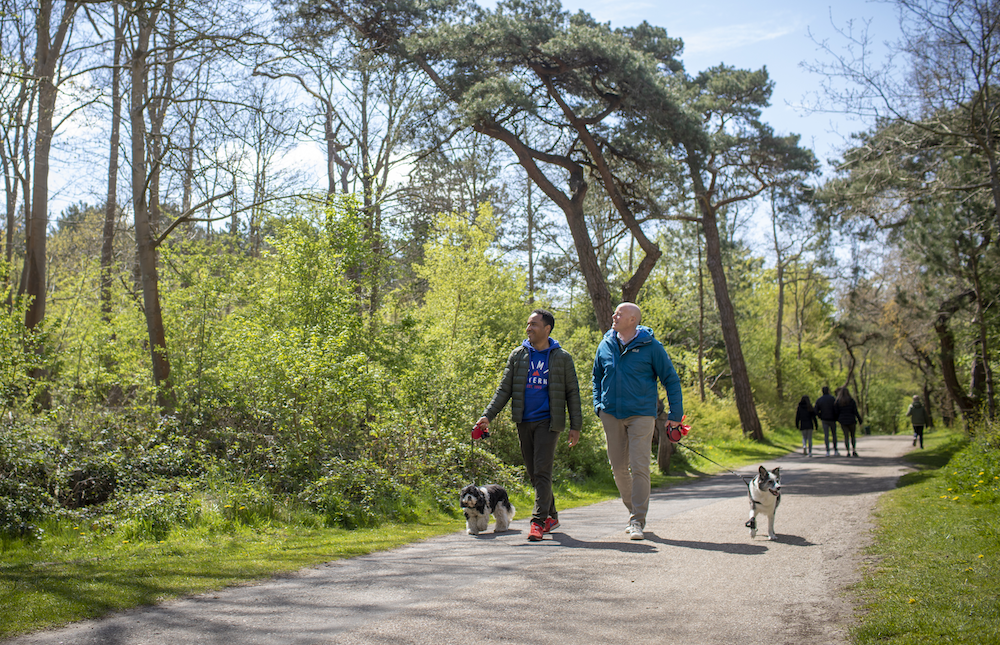 Afbeelding mensen met hond Katwijk