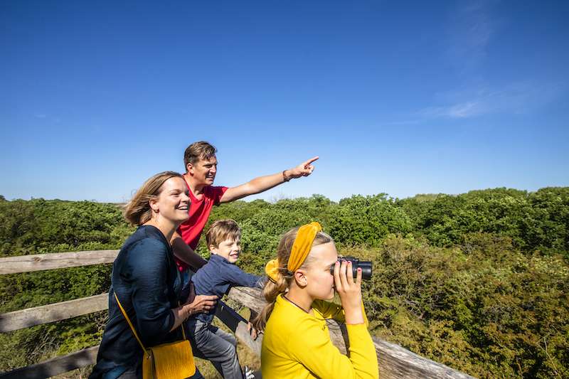Afbeelding uitkijkpunt in duinen