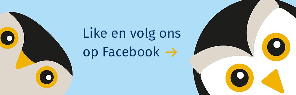 Social media Facebook kerkuil torenvalk nestcams Dunea