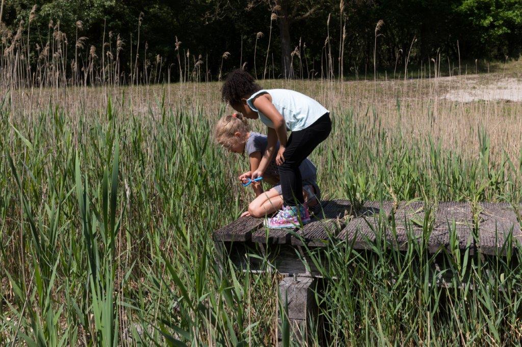 Twee meisjes speuren naar sporen.