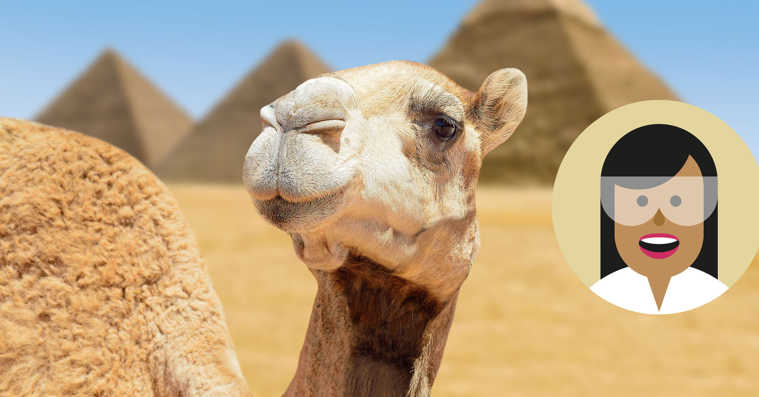 Kameel Educatie Museon Dunea Thuisavontuur